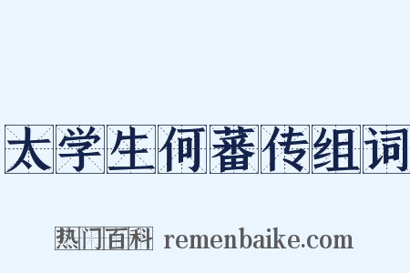 太学生何蕃传组词是什么意思的图片